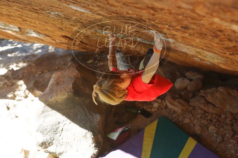 Bouldering in Hueco Tanks on 01/05/2020 with Blue Lizard Climbing and Yoga

Filename: SRM_20200105_1417283.jpg
Aperture: f/4.0
Shutter Speed: 1/640
Body: Canon EOS-1D Mark II
Lens: Canon EF 50mm f/1.8 II