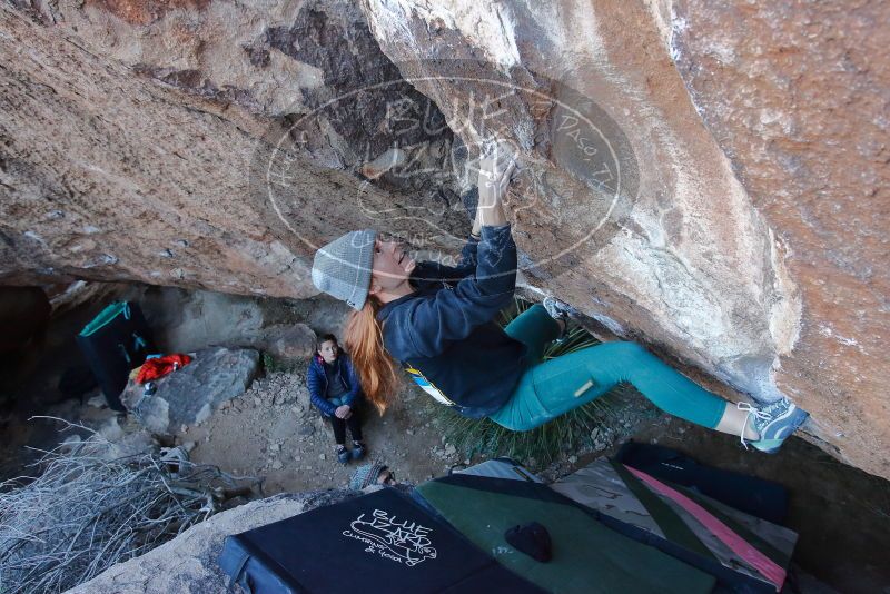 Bouldering in Hueco Tanks on 01/08/2020 with Blue Lizard Climbing and Yoga

Filename: SRM_20200108_1046510.jpg
Aperture: f/5.0
Shutter Speed: 1/250
Body: Canon EOS-1D Mark II
Lens: Canon EF 16-35mm f/2.8 L