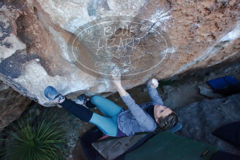 Bouldering in Hueco Tanks on 01/08/2020 with Blue Lizard Climbing and Yoga

Filename: SRM_20200108_1049580.jpg
Aperture: f/4.5
Shutter Speed: 1/250
Body: Canon EOS-1D Mark II
Lens: Canon EF 16-35mm f/2.8 L