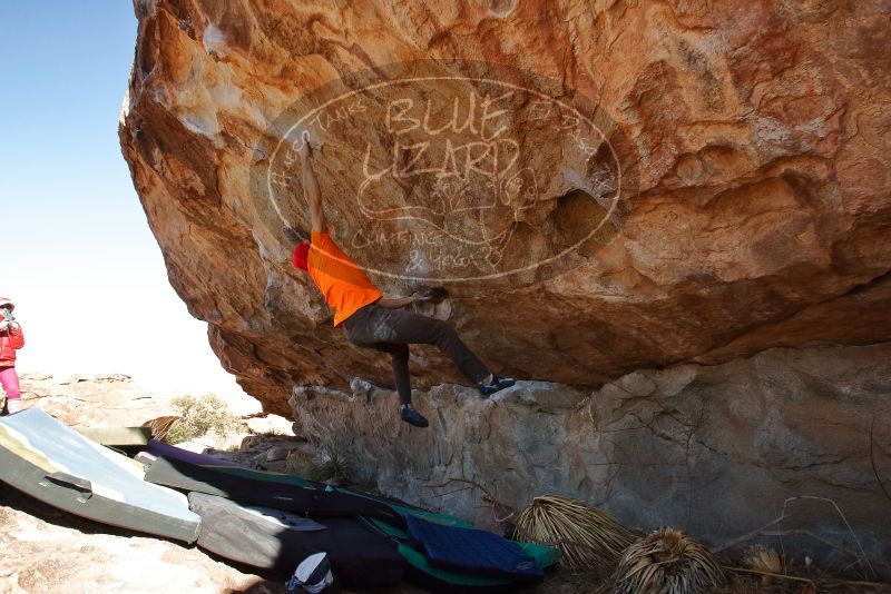 Bouldering in Hueco Tanks on 01/08/2020 with Blue Lizard Climbing and Yoga

Filename: SRM_20200108_1304050.jpg
Aperture: f/7.1
Shutter Speed: 1/500
Body: Canon EOS-1D Mark II
Lens: Canon EF 16-35mm f/2.8 L