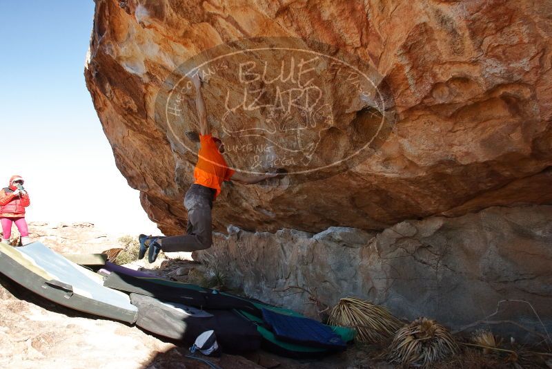 Bouldering in Hueco Tanks on 01/08/2020 with Blue Lizard Climbing and Yoga

Filename: SRM_20200108_1304051.jpg
Aperture: f/7.1
Shutter Speed: 1/500
Body: Canon EOS-1D Mark II
Lens: Canon EF 16-35mm f/2.8 L