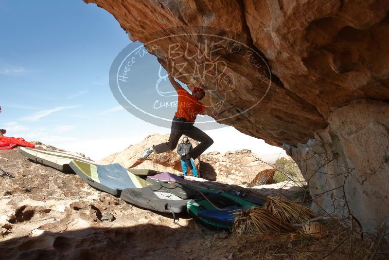 Bouldering in Hueco Tanks on 01/08/2020 with Blue Lizard Climbing and Yoga

Filename: SRM_20200108_1331507.jpg
Aperture: f/8.0
Shutter Speed: 1/500
Body: Canon EOS-1D Mark II
Lens: Canon EF 16-35mm f/2.8 L