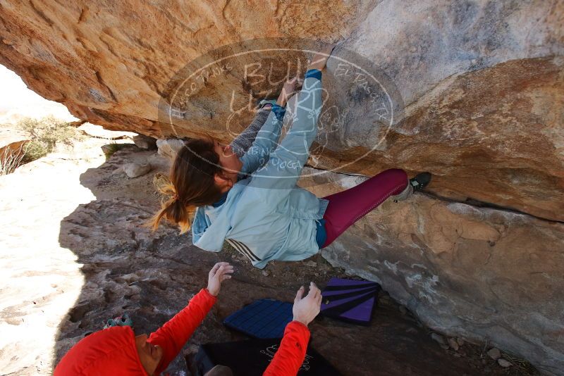 Bouldering in Hueco Tanks on 01/08/2020 with Blue Lizard Climbing and Yoga

Filename: SRM_20200108_1338250.jpg
Aperture: f/5.6
Shutter Speed: 1/400
Body: Canon EOS-1D Mark II
Lens: Canon EF 16-35mm f/2.8 L