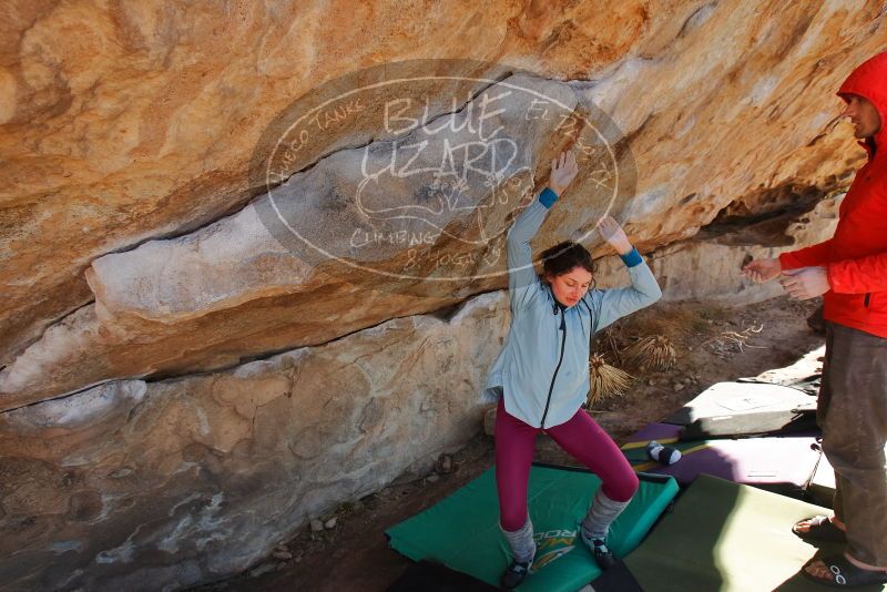 Bouldering in Hueco Tanks on 01/08/2020 with Blue Lizard Climbing and Yoga

Filename: SRM_20200108_1338381.jpg
Aperture: f/5.6
Shutter Speed: 1/400
Body: Canon EOS-1D Mark II
Lens: Canon EF 16-35mm f/2.8 L