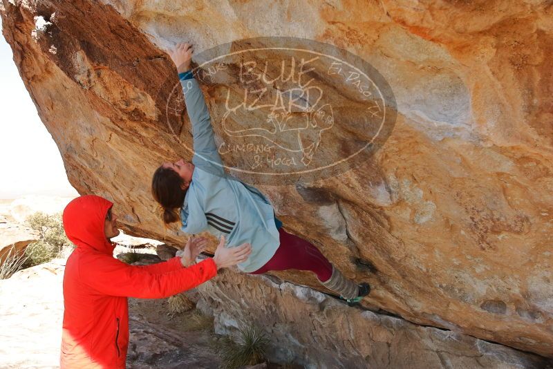 Bouldering in Hueco Tanks on 01/08/2020 with Blue Lizard Climbing and Yoga

Filename: SRM_20200108_1339460.jpg
Aperture: f/6.3
Shutter Speed: 1/400
Body: Canon EOS-1D Mark II
Lens: Canon EF 16-35mm f/2.8 L