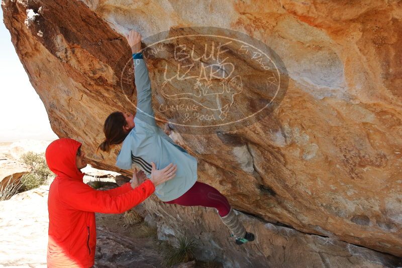 Bouldering in Hueco Tanks on 01/08/2020 with Blue Lizard Climbing and Yoga

Filename: SRM_20200108_1339461.jpg
Aperture: f/7.1
Shutter Speed: 1/400
Body: Canon EOS-1D Mark II
Lens: Canon EF 16-35mm f/2.8 L