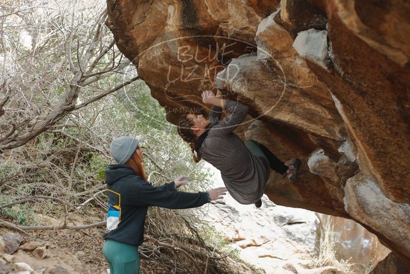 Bouldering in Hueco Tanks on 01/08/2020 with Blue Lizard Climbing and Yoga

Filename: SRM_20200108_1632110.jpg
Aperture: f/2.8
Shutter Speed: 1/250
Body: Canon EOS-1D Mark II
Lens: Canon EF 50mm f/1.8 II