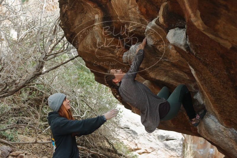 Bouldering in Hueco Tanks on 01/08/2020 with Blue Lizard Climbing and Yoga

Filename: SRM_20200108_1632200.jpg
Aperture: f/2.8
Shutter Speed: 1/250
Body: Canon EOS-1D Mark II
Lens: Canon EF 50mm f/1.8 II