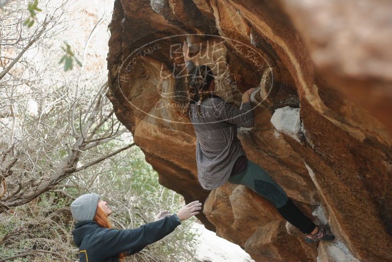 Bouldering in Hueco Tanks on 01/08/2020 with Blue Lizard Climbing and Yoga

Filename: SRM_20200108_1632280.jpg
Aperture: f/2.5
Shutter Speed: 1/250
Body: Canon EOS-1D Mark II
Lens: Canon EF 50mm f/1.8 II