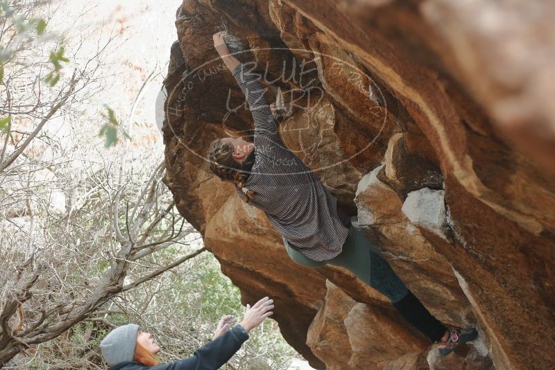 Bouldering in Hueco Tanks on 01/08/2020 with Blue Lizard Climbing and Yoga

Filename: SRM_20200108_1632330.jpg
Aperture: f/2.5
Shutter Speed: 1/250
Body: Canon EOS-1D Mark II
Lens: Canon EF 50mm f/1.8 II