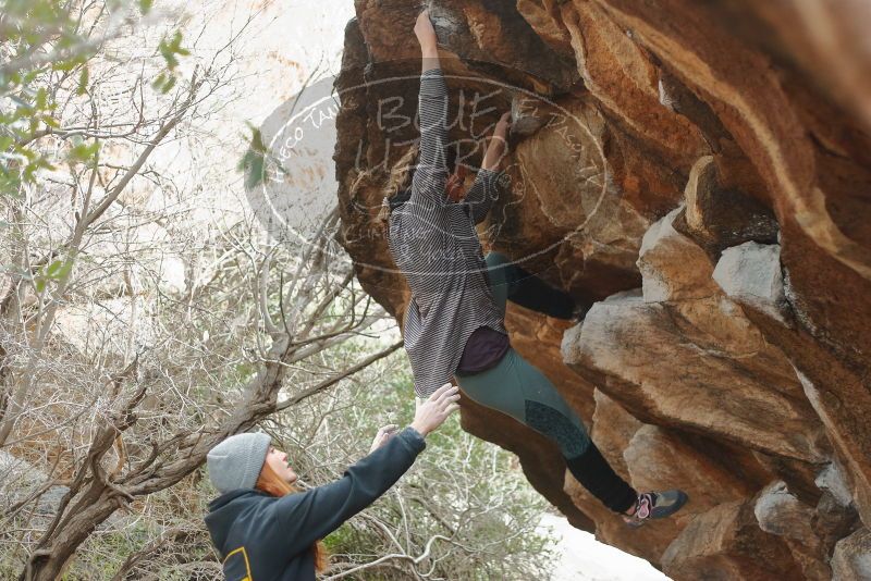 Bouldering in Hueco Tanks on 01/08/2020 with Blue Lizard Climbing and Yoga

Filename: SRM_20200108_1632340.jpg
Aperture: f/2.5
Shutter Speed: 1/250
Body: Canon EOS-1D Mark II
Lens: Canon EF 50mm f/1.8 II