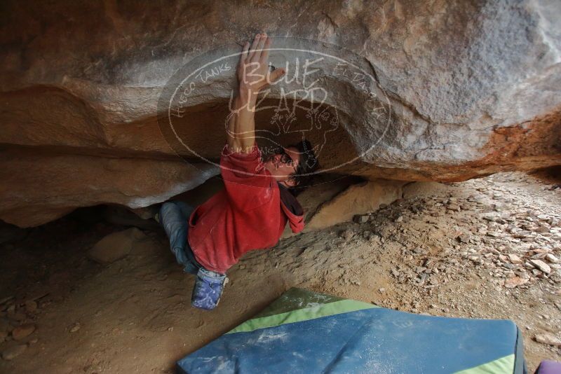 Bouldering in Hueco Tanks on 01/08/2020 with Blue Lizard Climbing and Yoga

Filename: SRM_20200108_1726420.jpg
Aperture: f/2.8
Shutter Speed: 1/200
Body: Canon EOS-1D Mark II
Lens: Canon EF 16-35mm f/2.8 L