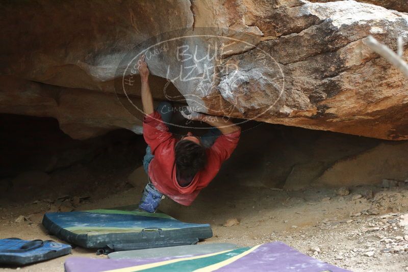 Bouldering in Hueco Tanks on 01/08/2020 with Blue Lizard Climbing and Yoga

Filename: SRM_20200108_1729570.jpg
Aperture: f/3.2
Shutter Speed: 1/250
Body: Canon EOS-1D Mark II
Lens: Canon EF 50mm f/1.8 II