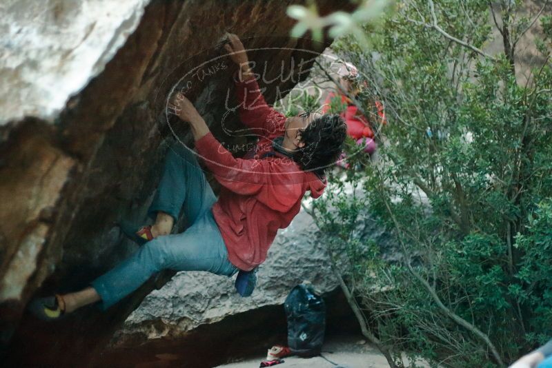 Bouldering in Hueco Tanks on 01/08/2020 with Blue Lizard Climbing and Yoga

Filename: SRM_20200108_1823450.jpg
Aperture: f/1.8
Shutter Speed: 1/125
Body: Canon EOS-1D Mark II
Lens: Canon EF 50mm f/1.8 II