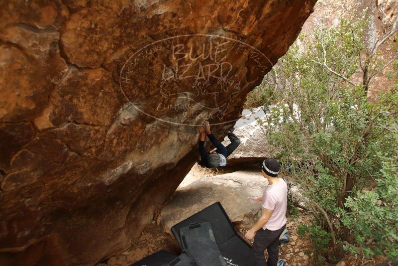 Bouldering in Hueco Tanks on 01/16/2020 with Blue Lizard Climbing and Yoga

Filename: SRM_20200116_1049110.jpg
Aperture: f/4.5
Shutter Speed: 1/250
Body: Canon EOS-1D Mark II
Lens: Canon EF 16-35mm f/2.8 L