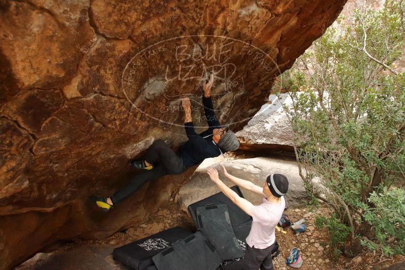 Bouldering in Hueco Tanks on 01/16/2020 with Blue Lizard Climbing and Yoga

Filename: SRM_20200116_1049440.jpg
Aperture: f/4.5
Shutter Speed: 1/250
Body: Canon EOS-1D Mark II
Lens: Canon EF 16-35mm f/2.8 L