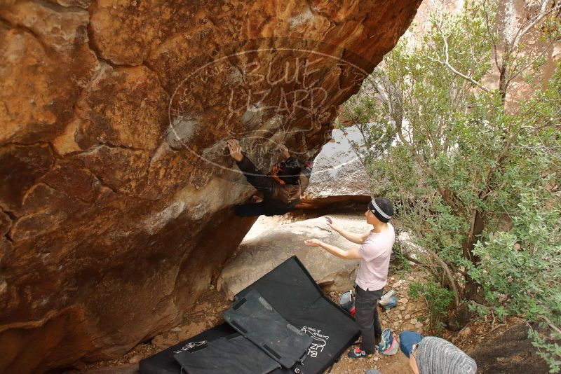 Bouldering in Hueco Tanks on 01/16/2020 with Blue Lizard Climbing and Yoga

Filename: SRM_20200116_1051350.jpg
Aperture: f/4.5
Shutter Speed: 1/250
Body: Canon EOS-1D Mark II
Lens: Canon EF 16-35mm f/2.8 L