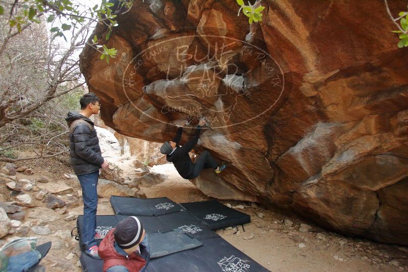 Bouldering in Hueco Tanks on 01/16/2020 with Blue Lizard Climbing and Yoga

Filename: SRM_20200116_1321280.jpg
Aperture: f/3.5
Shutter Speed: 1/250
Body: Canon EOS-1D Mark II
Lens: Canon EF 16-35mm f/2.8 L