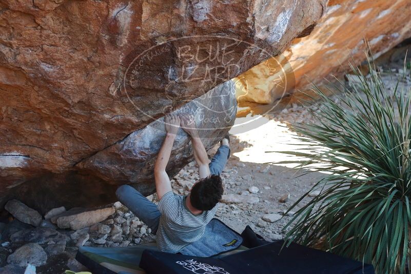 Bouldering in Hueco Tanks on 01/18/2020 with Blue Lizard Climbing and Yoga

Filename: SRM_20200118_1127190.jpg
Aperture: f/3.2
Shutter Speed: 1/250
Body: Canon EOS-1D Mark II
Lens: Canon EF 50mm f/1.8 II