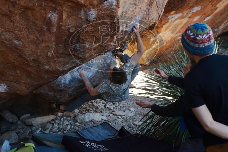 Bouldering in Hueco Tanks on 01/18/2020 with Blue Lizard Climbing and Yoga

Filename: SRM_20200118_1127350.jpg
Aperture: f/4.5
Shutter Speed: 1/250
Body: Canon EOS-1D Mark II
Lens: Canon EF 50mm f/1.8 II