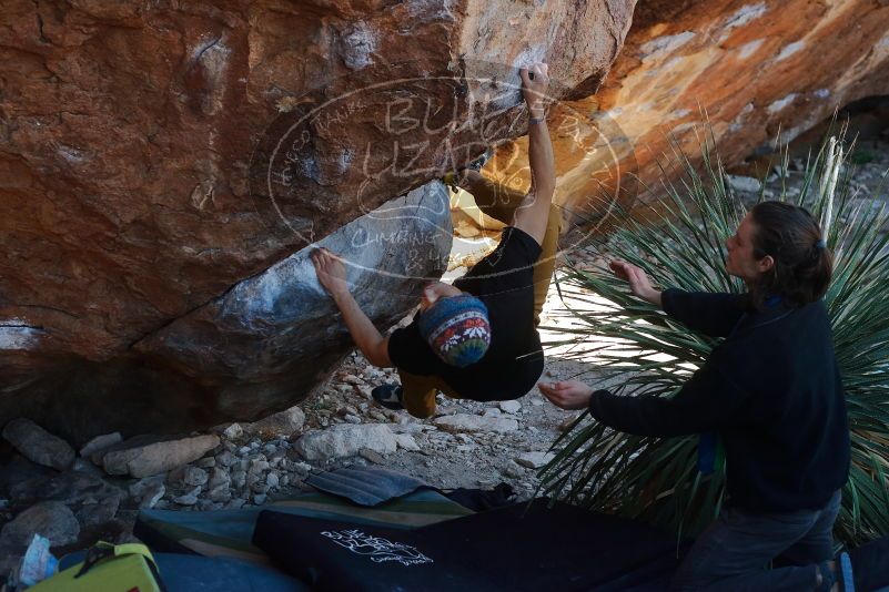 Bouldering in Hueco Tanks on 01/18/2020 with Blue Lizard Climbing and Yoga

Filename: SRM_20200118_1128080.jpg
Aperture: f/4.0
Shutter Speed: 1/320
Body: Canon EOS-1D Mark II
Lens: Canon EF 50mm f/1.8 II