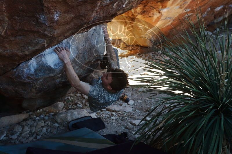 Bouldering in Hueco Tanks on 01/18/2020 with Blue Lizard Climbing and Yoga

Filename: SRM_20200118_1133310.jpg
Aperture: f/6.3
Shutter Speed: 1/250
Body: Canon EOS-1D Mark II
Lens: Canon EF 50mm f/1.8 II