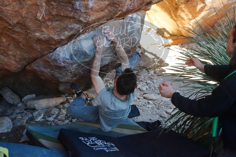 Bouldering in Hueco Tanks on 01/18/2020 with Blue Lizard Climbing and Yoga

Filename: SRM_20200118_1133350.jpg
Aperture: f/4.0
Shutter Speed: 1/250
Body: Canon EOS-1D Mark II
Lens: Canon EF 50mm f/1.8 II