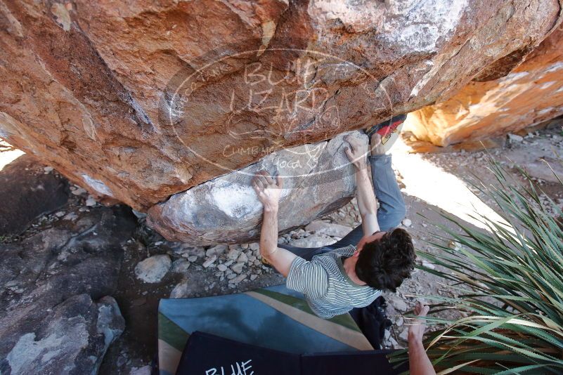 Bouldering in Hueco Tanks on 01/18/2020 with Blue Lizard Climbing and Yoga

Filename: SRM_20200118_1138380.jpg
Aperture: f/4.5
Shutter Speed: 1/250
Body: Canon EOS-1D Mark II
Lens: Canon EF 16-35mm f/2.8 L