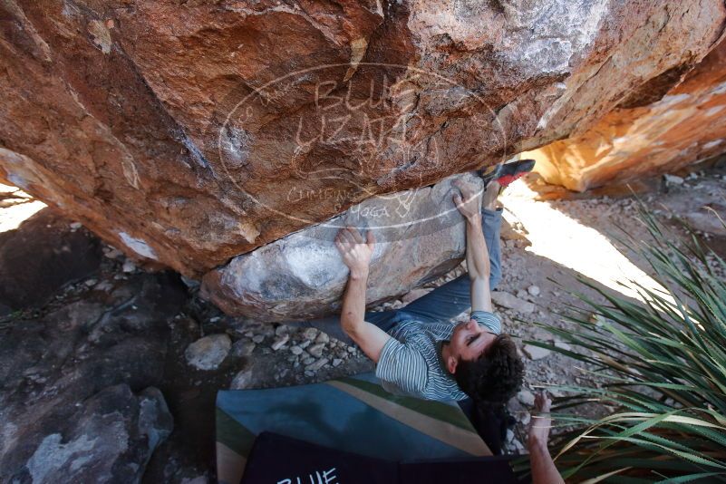 Bouldering in Hueco Tanks on 01/18/2020 with Blue Lizard Climbing and Yoga

Filename: SRM_20200118_1138381.jpg
Aperture: f/5.0
Shutter Speed: 1/250
Body: Canon EOS-1D Mark II
Lens: Canon EF 16-35mm f/2.8 L