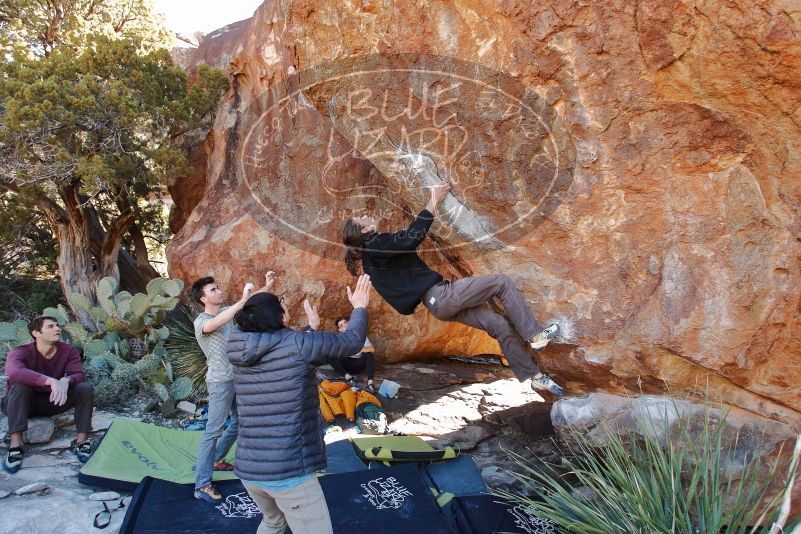 Bouldering in Hueco Tanks on 01/18/2020 with Blue Lizard Climbing and Yoga

Filename: SRM_20200118_1141210.jpg
Aperture: f/4.5
Shutter Speed: 1/250
Body: Canon EOS-1D Mark II
Lens: Canon EF 16-35mm f/2.8 L