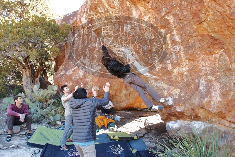 Bouldering in Hueco Tanks on 01/18/2020 with Blue Lizard Climbing and Yoga

Filename: SRM_20200118_1141212.jpg
Aperture: f/4.5
Shutter Speed: 1/250
Body: Canon EOS-1D Mark II
Lens: Canon EF 16-35mm f/2.8 L