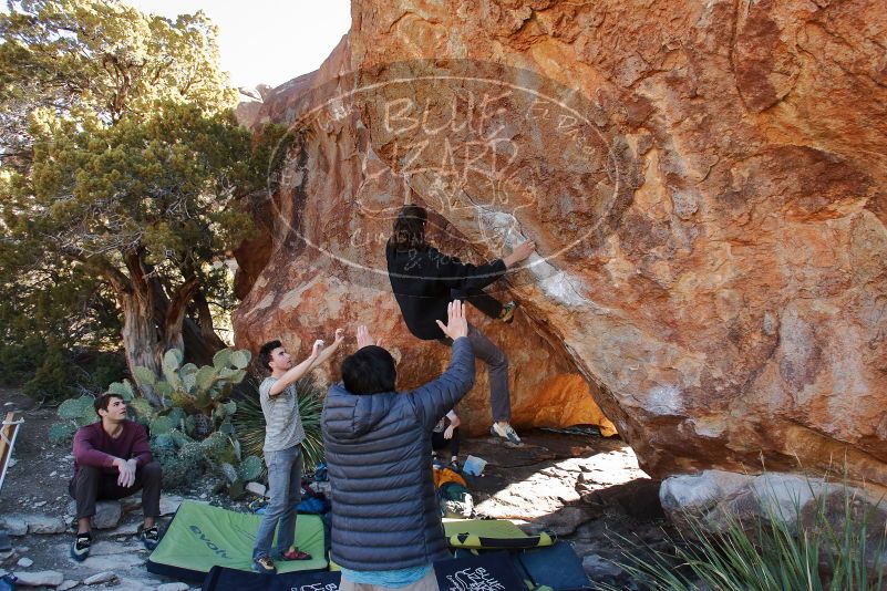 Bouldering in Hueco Tanks on 01/18/2020 with Blue Lizard Climbing and Yoga

Filename: SRM_20200118_1141260.jpg
Aperture: f/5.0
Shutter Speed: 1/250
Body: Canon EOS-1D Mark II
Lens: Canon EF 16-35mm f/2.8 L