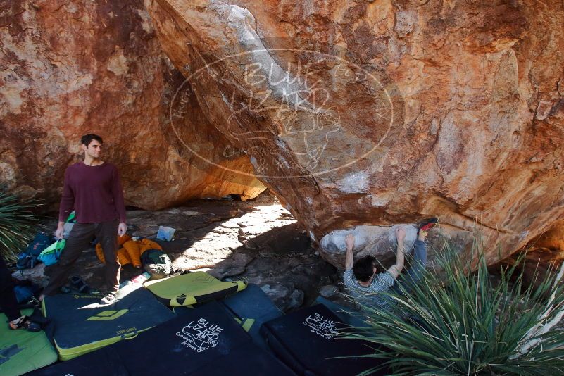 Bouldering in Hueco Tanks on 01/18/2020 with Blue Lizard Climbing and Yoga

Filename: SRM_20200118_1142340.jpg
Aperture: f/6.3
Shutter Speed: 1/250
Body: Canon EOS-1D Mark II
Lens: Canon EF 16-35mm f/2.8 L