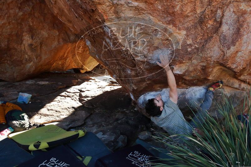 Bouldering in Hueco Tanks on 01/18/2020 with Blue Lizard Climbing and Yoga

Filename: SRM_20200118_1142400.jpg
Aperture: f/7.1
Shutter Speed: 1/250
Body: Canon EOS-1D Mark II
Lens: Canon EF 16-35mm f/2.8 L