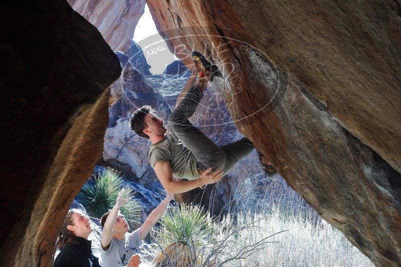 Bouldering in Hueco Tanks on 01/18/2020 with Blue Lizard Climbing and Yoga

Filename: SRM_20200118_1305080.jpg
Aperture: f/5.6
Shutter Speed: 1/250
Body: Canon EOS-1D Mark II
Lens: Canon EF 50mm f/1.8 II