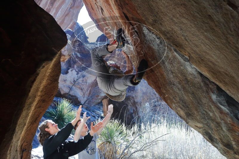 Bouldering in Hueco Tanks on 01/18/2020 with Blue Lizard Climbing and Yoga

Filename: SRM_20200118_1305250.jpg
Aperture: f/5.6
Shutter Speed: 1/250
Body: Canon EOS-1D Mark II
Lens: Canon EF 50mm f/1.8 II