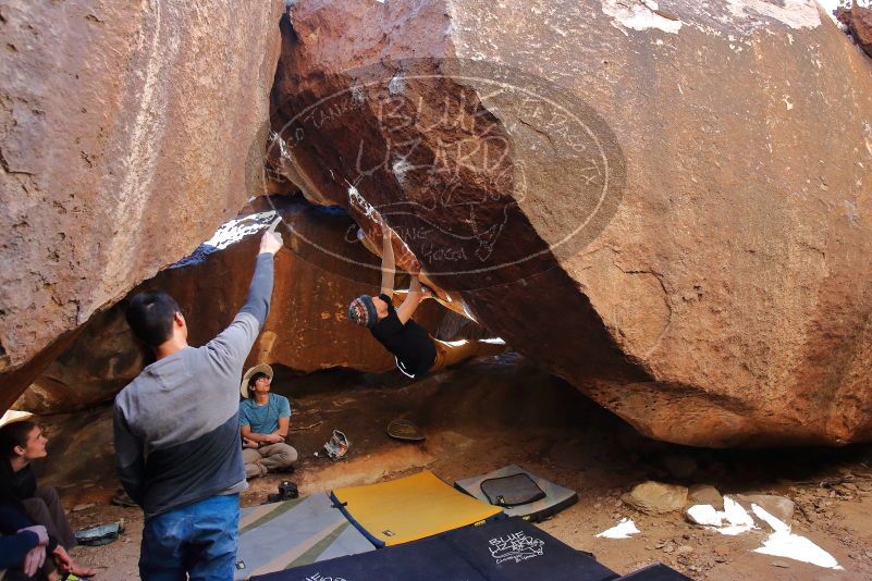 Bouldering in Hueco Tanks on 01/18/2020 with Blue Lizard Climbing and Yoga

Filename: SRM_20200118_1519100.jpg
Aperture: f/4.5
Shutter Speed: 1/250
Body: Canon EOS-1D Mark II
Lens: Canon EF 16-35mm f/2.8 L