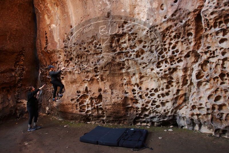 Bouldering in Hueco Tanks on 01/26/2020 with Blue Lizard Climbing and Yoga

Filename: SRM_20200126_1217310.jpg
Aperture: f/4.0
Shutter Speed: 1/125
Body: Canon EOS-1D Mark II
Lens: Canon EF 16-35mm f/2.8 L