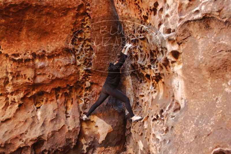 Bouldering in Hueco Tanks on 01/26/2020 with Blue Lizard Climbing and Yoga

Filename: SRM_20200126_1240550.jpg
Aperture: f/2.8
Shutter Speed: 1/80
Body: Canon EOS-1D Mark II
Lens: Canon EF 16-35mm f/2.8 L