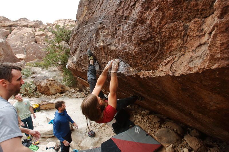 Bouldering in Hueco Tanks on 01/27/2020 with Blue Lizard Climbing and Yoga

Filename: SRM_20200127_1244050.jpg
Aperture: f/6.3
Shutter Speed: 1/250
Body: Canon EOS-1D Mark II
Lens: Canon EF 16-35mm f/2.8 L