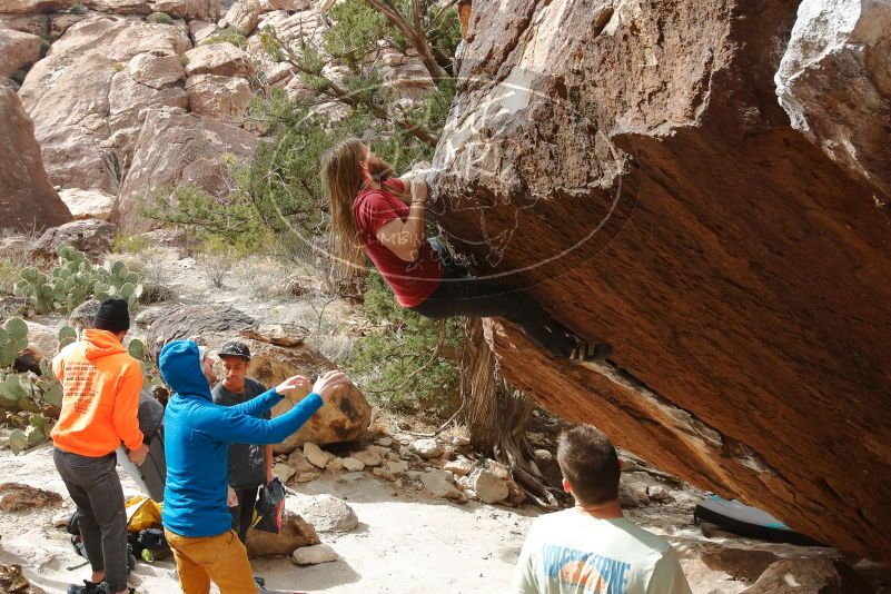 Bouldering in Hueco Tanks on 01/27/2020 with Blue Lizard Climbing and Yoga

Filename: SRM_20200127_1253280.jpg
Aperture: f/11.0
Shutter Speed: 1/250
Body: Canon EOS-1D Mark II
Lens: Canon EF 16-35mm f/2.8 L