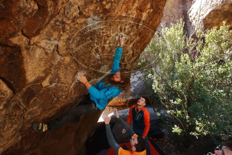 Bouldering in Hueco Tanks on 01/29/2020 with Blue Lizard Climbing and Yoga

Filename: SRM_20200129_1218180.jpg
Aperture: f/5.6
Shutter Speed: 1/250
Body: Canon EOS-1D Mark II
Lens: Canon EF 16-35mm f/2.8 L