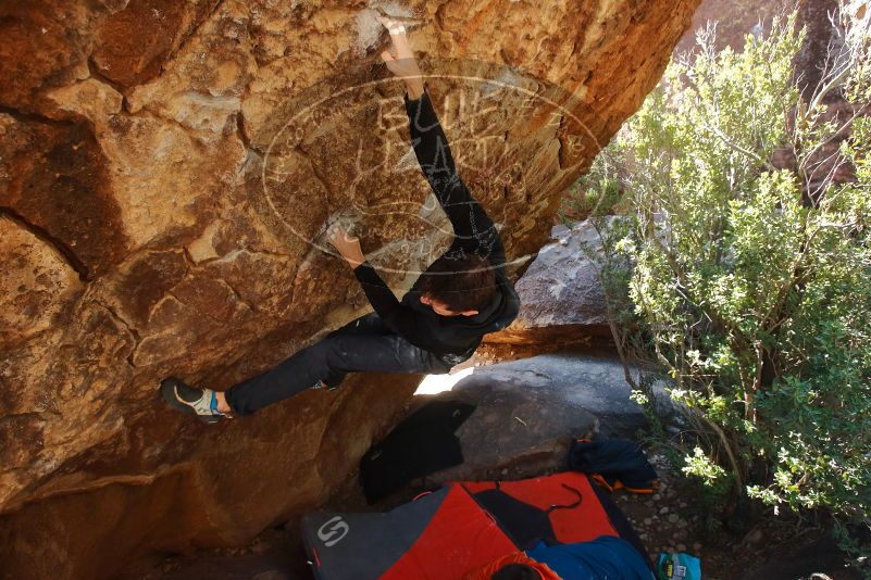 Bouldering in Hueco Tanks on 01/29/2020 with Blue Lizard Climbing and Yoga

Filename: SRM_20200129_1220442.jpg
Aperture: f/5.0
Shutter Speed: 1/250
Body: Canon EOS-1D Mark II
Lens: Canon EF 16-35mm f/2.8 L