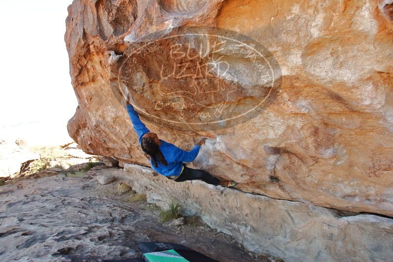 Bouldering in Hueco Tanks on 02/01/2020 with Blue Lizard Climbing and Yoga

Filename: SRM_20200201_1102120.jpg
Aperture: f/5.0
Shutter Speed: 1/250
Body: Canon EOS-1D Mark II
Lens: Canon EF 16-35mm f/2.8 L