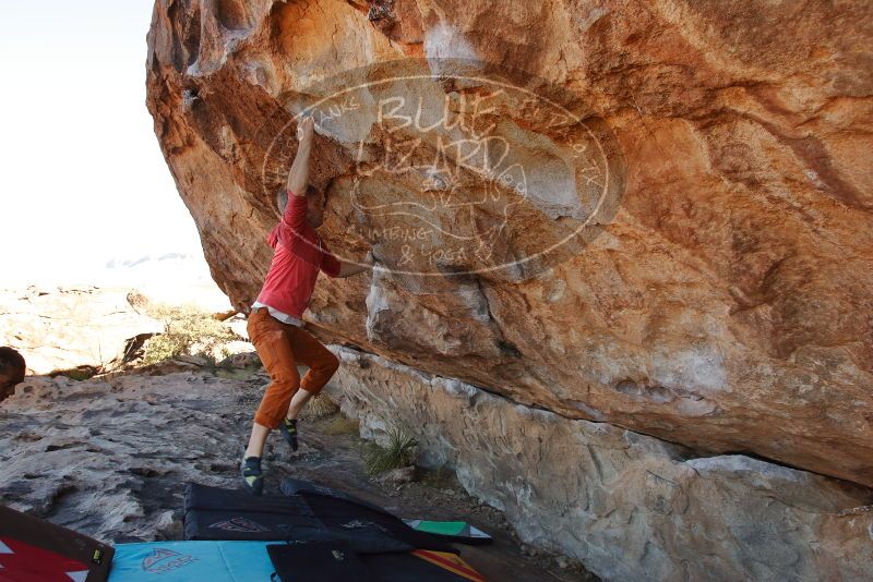 Bouldering in Hueco Tanks on 02/01/2020 with Blue Lizard Climbing and Yoga

Filename: SRM_20200201_1103280.jpg
Aperture: f/6.3
Shutter Speed: 1/250
Body: Canon EOS-1D Mark II
Lens: Canon EF 16-35mm f/2.8 L