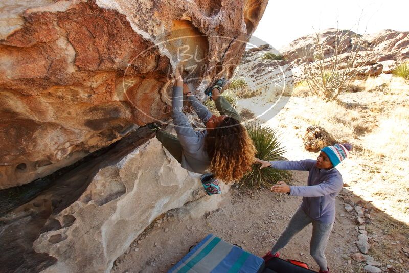 Bouldering in Hueco Tanks on 02/01/2020 with Blue Lizard Climbing and Yoga

Filename: SRM_20200201_1104110.jpg
Aperture: f/5.6
Shutter Speed: 1/250
Body: Canon EOS-1D Mark II
Lens: Canon EF 16-35mm f/2.8 L