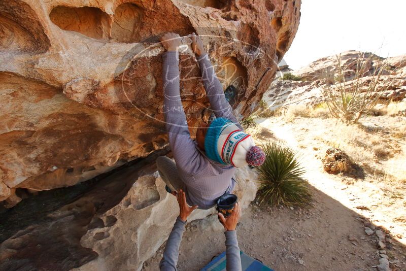 Bouldering in Hueco Tanks on 02/01/2020 with Blue Lizard Climbing and Yoga

Filename: SRM_20200201_1108450.jpg
Aperture: f/5.6
Shutter Speed: 1/250
Body: Canon EOS-1D Mark II
Lens: Canon EF 16-35mm f/2.8 L