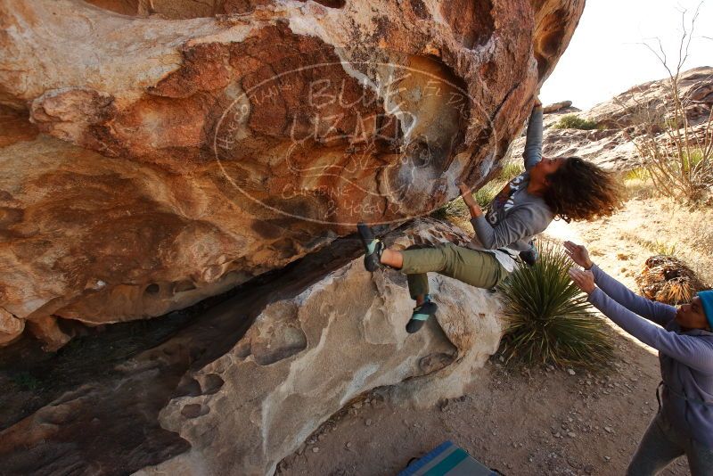 Bouldering in Hueco Tanks on 02/01/2020 with Blue Lizard Climbing and Yoga

Filename: SRM_20200201_1109320.jpg
Aperture: f/7.1
Shutter Speed: 1/250
Body: Canon EOS-1D Mark II
Lens: Canon EF 16-35mm f/2.8 L