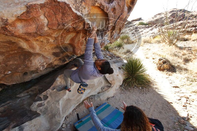 Bouldering in Hueco Tanks on 02/01/2020 with Blue Lizard Climbing and Yoga

Filename: SRM_20200201_1129540.jpg
Aperture: f/5.6
Shutter Speed: 1/250
Body: Canon EOS-1D Mark II
Lens: Canon EF 16-35mm f/2.8 L