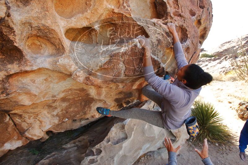 Bouldering in Hueco Tanks on 02/01/2020 with Blue Lizard Climbing and Yoga

Filename: SRM_20200201_1130080.jpg
Aperture: f/5.0
Shutter Speed: 1/250
Body: Canon EOS-1D Mark II
Lens: Canon EF 16-35mm f/2.8 L